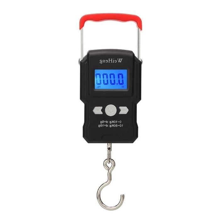 AFUNTA Balance Électronique Portable 50kg/10g - Pèse Bagages Avec Crochet LCD