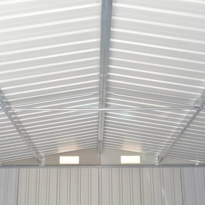 SURENHAP Cabanes | abris de jardin - Abri de jardin 257x580x181 cm Métal Marron - Meubles haut de gamme - J14855