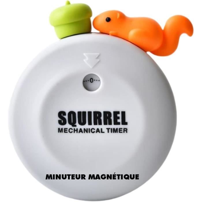 Magnetique Timer Fée Minuteur De Cuisine Numérique Compte À Rebours