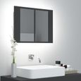 530NEUF Armoire de salle de bain à miroir à LED|Armoire murale miroir salle de bain|meuble Haut avec miroir Gris 60x12x45 cm FRENCH-0