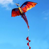 Cerf-volant,Cerf-volant Dragon 3D avec queue pour adultes,volant en plein air,ligne de 100m[D158962169]