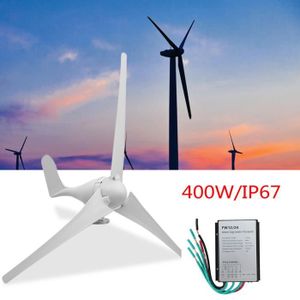 Achetez en gros Système D'alimentation éolienne à Axe Vertical 500w 12v/24v Petit  Générateur D'énergie Alternative Tulip Chine et Générateur De Puissance  éolienne à 450 USD