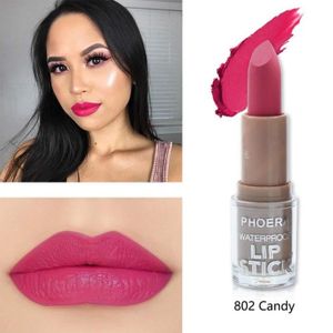 Rouge à Lèvres Mat Noir Marine Bleu Brun Violet Crayon à Lèvres Bâton De Maquillage Lèvres Imperméablez241