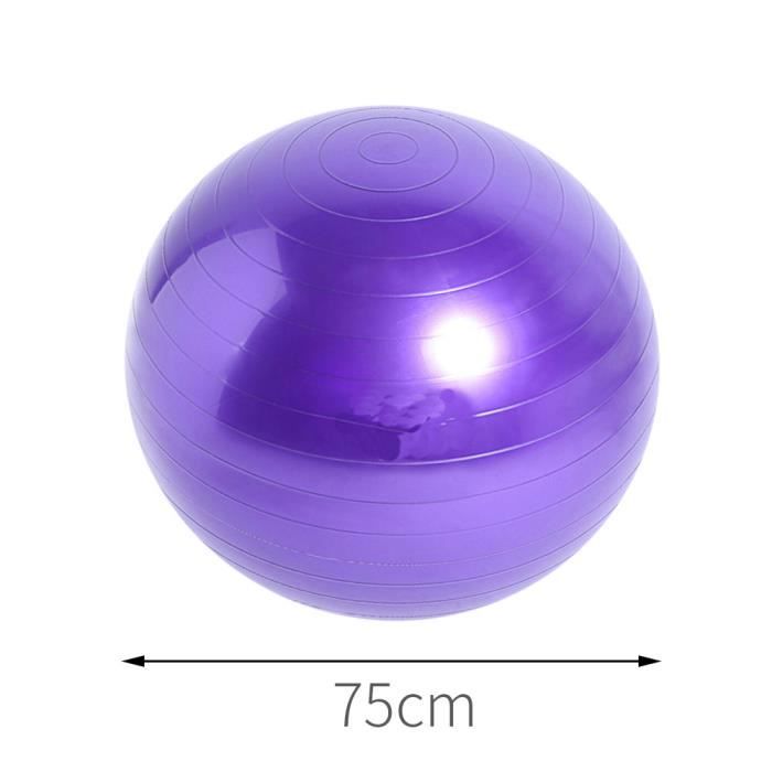 Balle de Yoga Balle d'équilibre Laputian Yoga Ball Durable PVC 55-65 - 75cm Équipement d'exercice Récupération post-partum