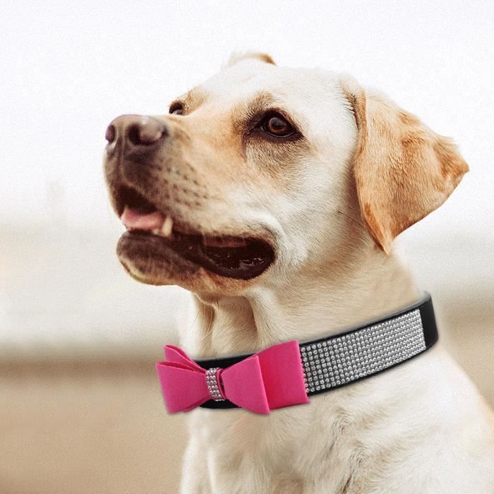 EBTOOLS Laisse rétractable pour chien Harnais pour chien de 