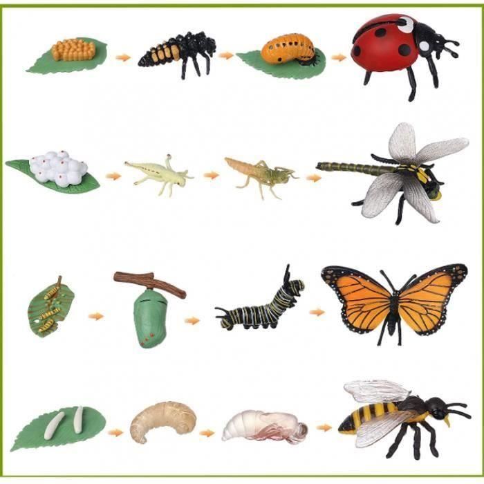 JOKFEICE Lot de 16 jouets à insectes - Cycle de vie du papillon, abeille à miel, libellule et coccinelle - Jouet éducatif de Noël pour enfants