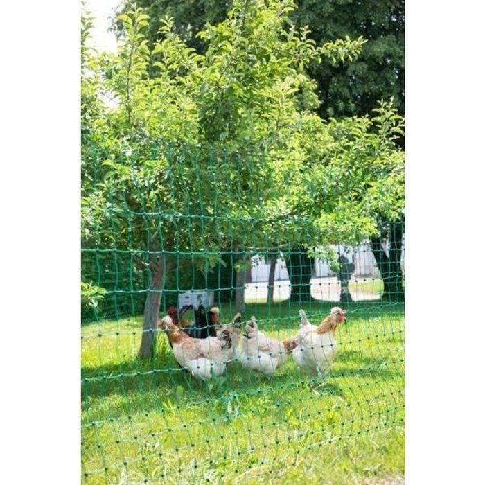 KERBL Filet pour les poules 50 m - 106 cm - double pointe - vert - non  électrique - Cdiscount