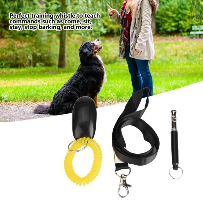Fouets de dressage pour animaux de compagnie, fouet d'équitation de bâton de dressage pour animaux de compagnie, fouets de formation pour animaux de compagnie en plastique renforcé de fibre noire, out Fouets de dressage pour animaux de compagnie, fouet d'équitation de bâton de dressage pour animaux de compagnie, fouets de formation pour animaux de compagnie en plastique renforcé de fibre noire, out