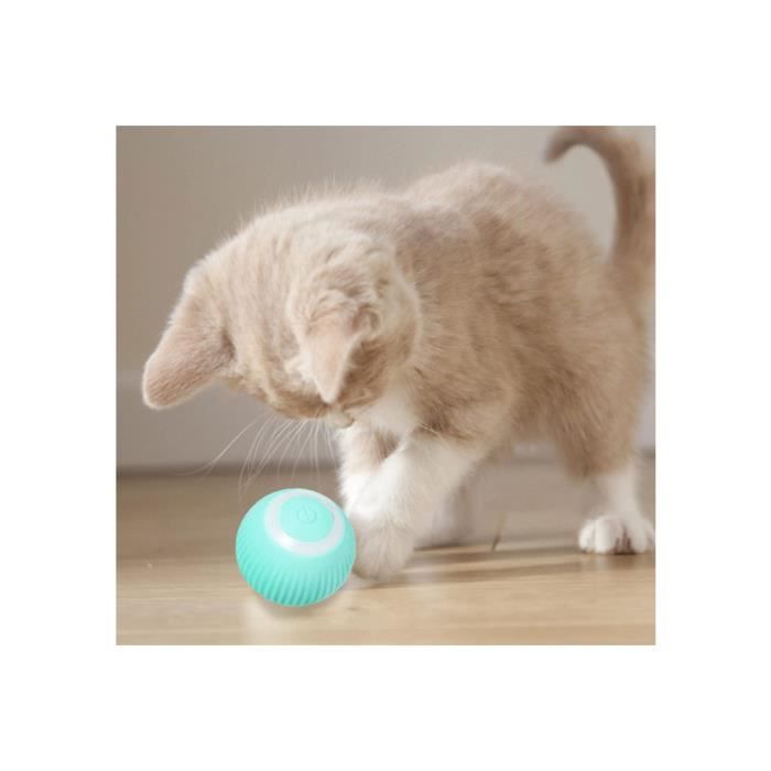 Balle à Rouler Pour Chat Et Chien, Balles Magique Interactive