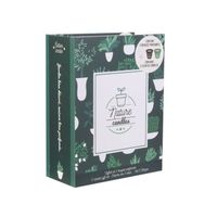 The Candle Factory Set 6 Candele Profumate Vaniglia, Home Deco Art, Barattoli Vetro Oro/Nero