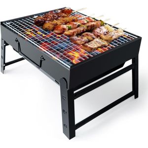 BARBECUE Grill Barbecue BBQ, Barbecue Portable Pliable en Acier Inoxydable pour Table d'Extérieur, Fumeur au Charbon de Bois pour Pique-N66