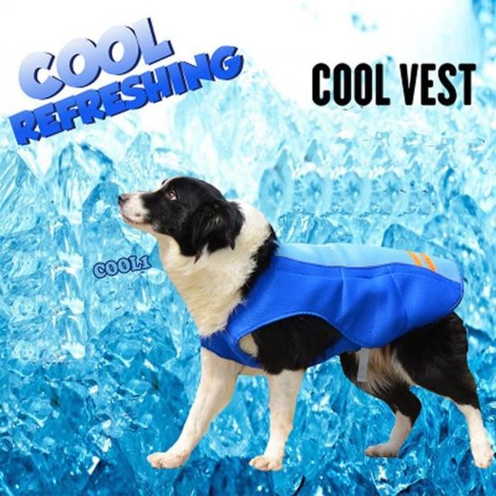 Gilet refroidissant pour chien online