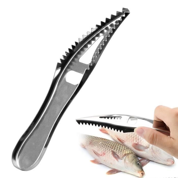 Couteau à écailles de poisson en acier inoxydable, outils pour fruits de mer, accessoires de cuisine, détartreur, brosse -DRFT582