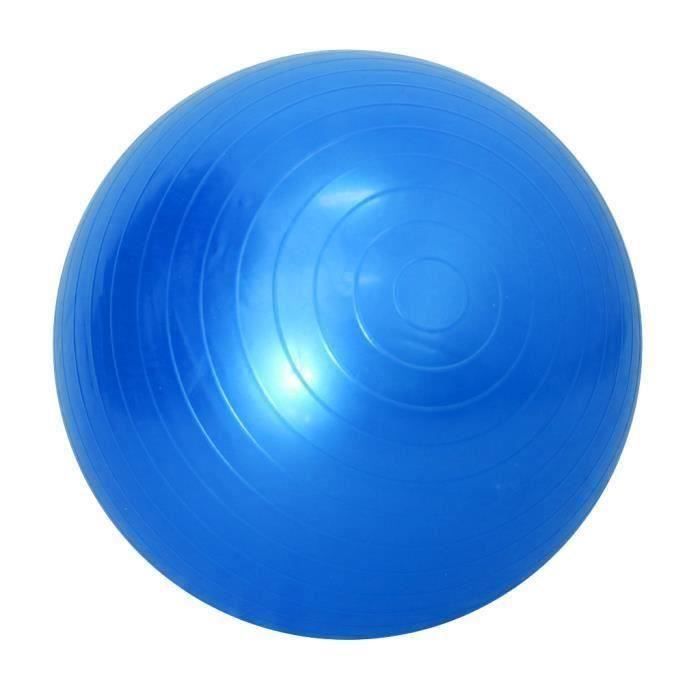 SHAN 45-85 Cm Soft Ballon De Yoga Anti-Eclat Exercice Gym Balles De Pilates 45Cm Bleu
