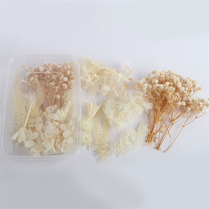 1 Boîte de fleurs séchées en résine pour bougies DIY pendentifs en résine époxy coques de téléphone bijoux