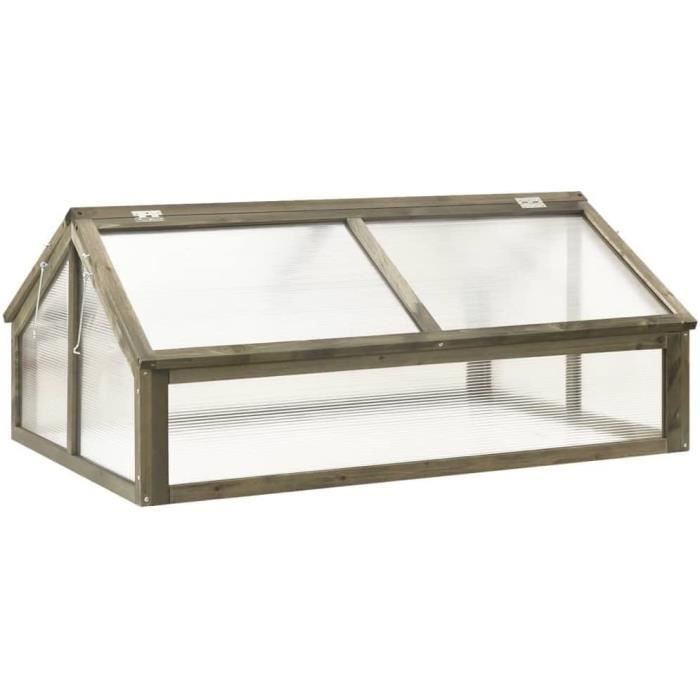 Serre Froide VidaXL En Bois Et PC - Abri Pour Légumes, Fruits Et Plantes 180x57x62 Cm