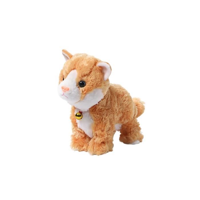 chat robot peluche