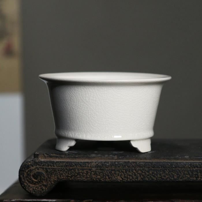 Support En Bois Naturel Pour Bonsaï, Théière Ou Décoration | Diamètre Intérieur 10cm | Style Zen