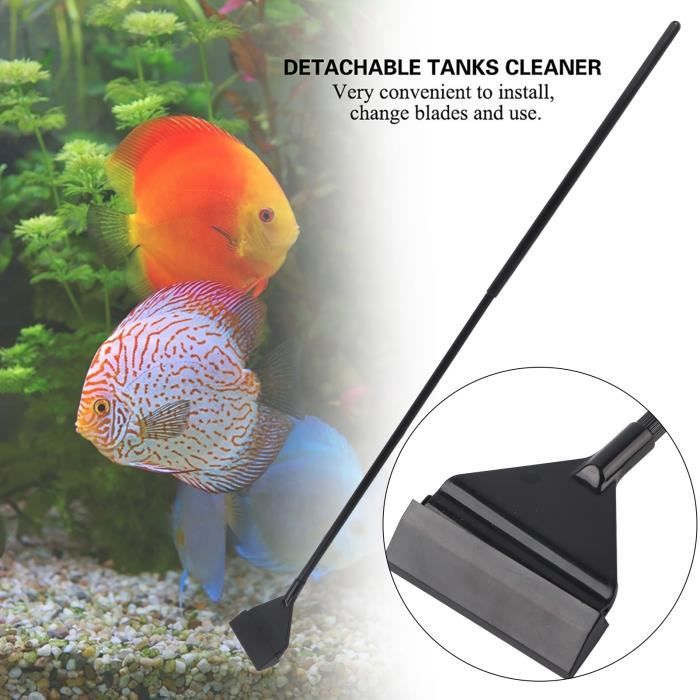ROL® Aquariums réservoirs de poissons nettoyant algues grattoir ...
