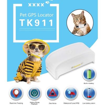 Mini Traceur GPS Animaux, GPS Chien, Traceur GPS Chien Chat Animal Real  Time Tracking & Activity Moniteur Tracker Tk911 READCLY