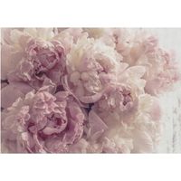 Papier Peint Intissé Fleurs 368x254 cm Rose Fleuri Floral Chambre Salon Photo Non Tissé Muraux Moderne Trompe l'oeil