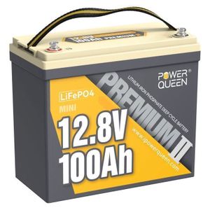 BATTERIE VÉHICULE Power Queen Batterie LiFePO4 Lithium - 12V 100Ah Mini - 1280Wh -BMS 100A - plus petite et légère - Couleur Gris- L260*P133*H227.5