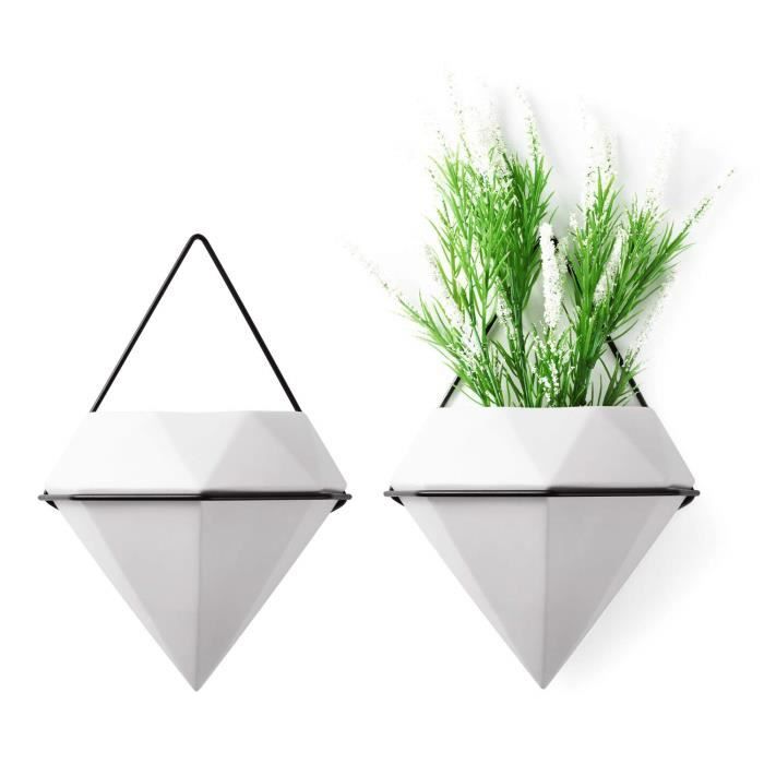 Support Plantes Mural Triggs Pots Fleur Lot de 2 - Forme de Diamant Blanc, Pot de Céramique Suspendus Hexagonal de Aloès Herbe