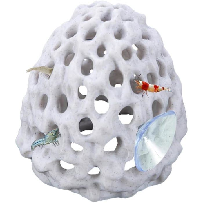 Cachette pour Crevettes Accessoire Décoratif pour Aquarium Betta avec Ventouse pour Petits Poissons Guppys Cachette et Repos