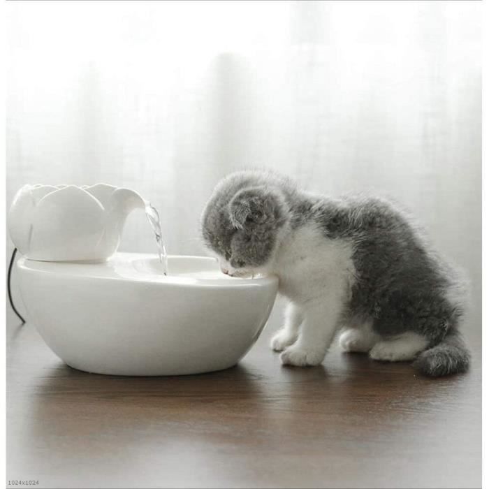 Fontaine A Eau Pour Chat Ceramique Chat Potable Fontaine Automatique Tres Silencieux Bol D Eau Reglable Filtre A Charbon Acti Cdiscount Electromenager