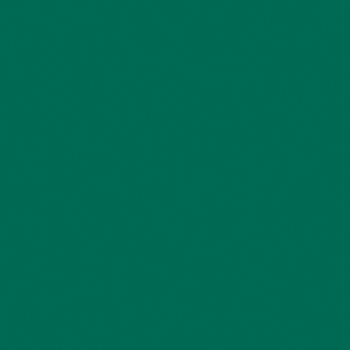 Peinture pour tableau noir contenance 100 ml - Vert foncé - Achat / Vente  peinture acrylique Peinture pour tableau noir ... - Cdiscount