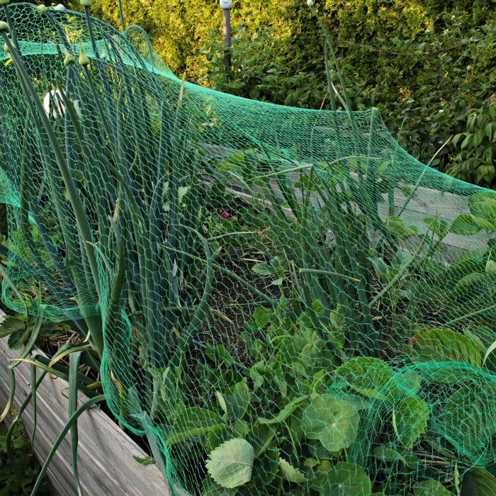 Filets anti-oiseaux - PRIX MINI - Pour les arbres fruitiers
