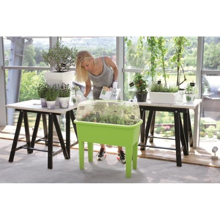 Arrosoir Jardin 3L Prosperplast Vert - Bec Précision
