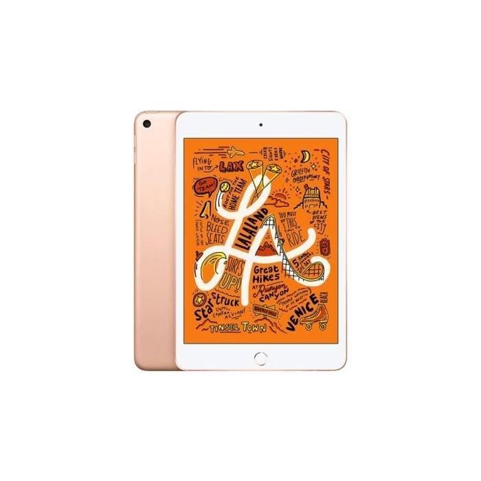 iPad mini 5 (2019) - 64 Go - Or - Reconditionné - Excellent état