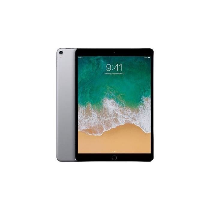 iPad Pro (2017) (10.5-inch) - 512 Go - Gris sidéral - Reconditionné - Excellent état