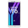 Huawei Y6 2018 Or-1
