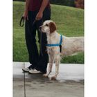 EASYWALK PetSafe - Harnais pour Chien Deluxe Easy Walk (M), Réfléchissant, Confortable, Résistant, Facile à Utiliser, Anti-Traction - Bleu