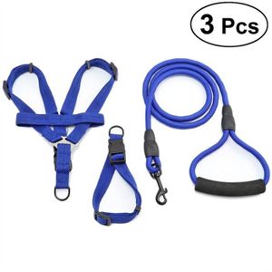 Laisse Et Harnais Pour Petit Chien