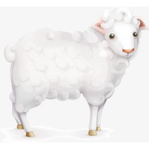 Table D Appoint Table Basse Avec Rangement Armature En Metal Pour
