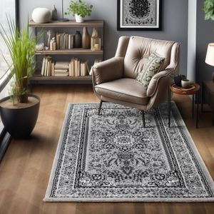 Tapis Oriental Achat Vente Pas Cher