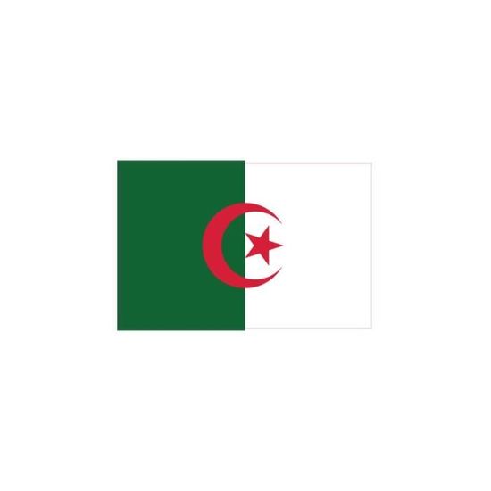 Autocollant Algérie Drapeau Résine 3D Vinyle Adhésif - Relief