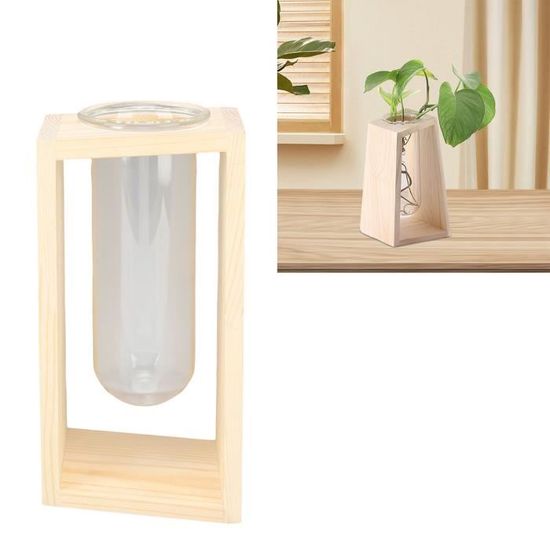 BEA terrariums de plantes en verre de bureau Terrarium de plante de