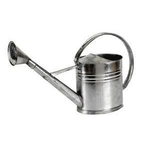 Arrosoir en zinc 10l