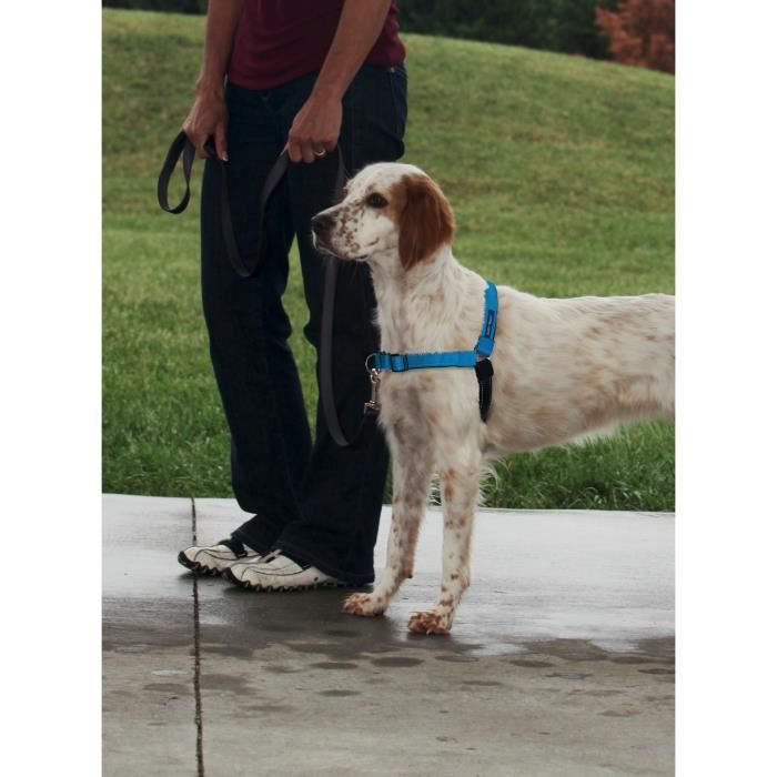 EASY WALK Harnais Deluxe M - Bleu Océan - Pour chien