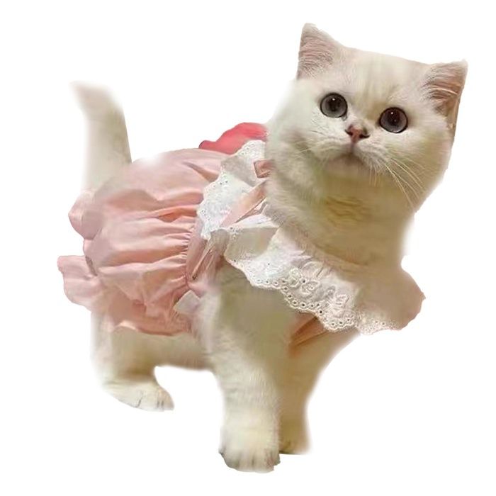 AUCUNE Robe pour petit chat Robe mignonne Anti-perte pour animaux de compagnie vêtements pour chiots animalerie pull Rose L