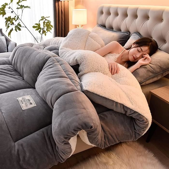 Couette Chaude Hiver 220x240 Cm 5 Kg - Double Face Polaire/douce, Réversible - 2