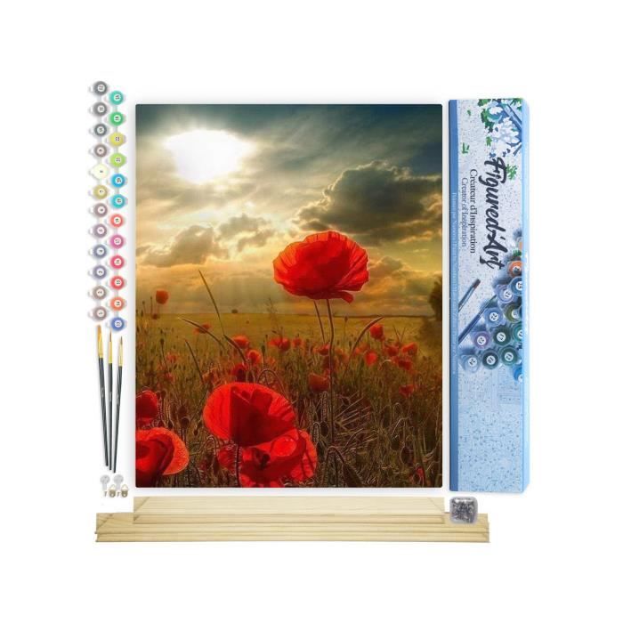 Figured'Art Peinture Par Numéro Adulte Chouette Porteuse De Croix - Kit