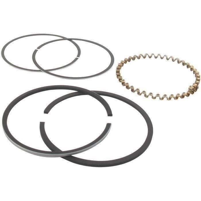 Segments KOHLER 235289 modèles K-241 - 10 ch