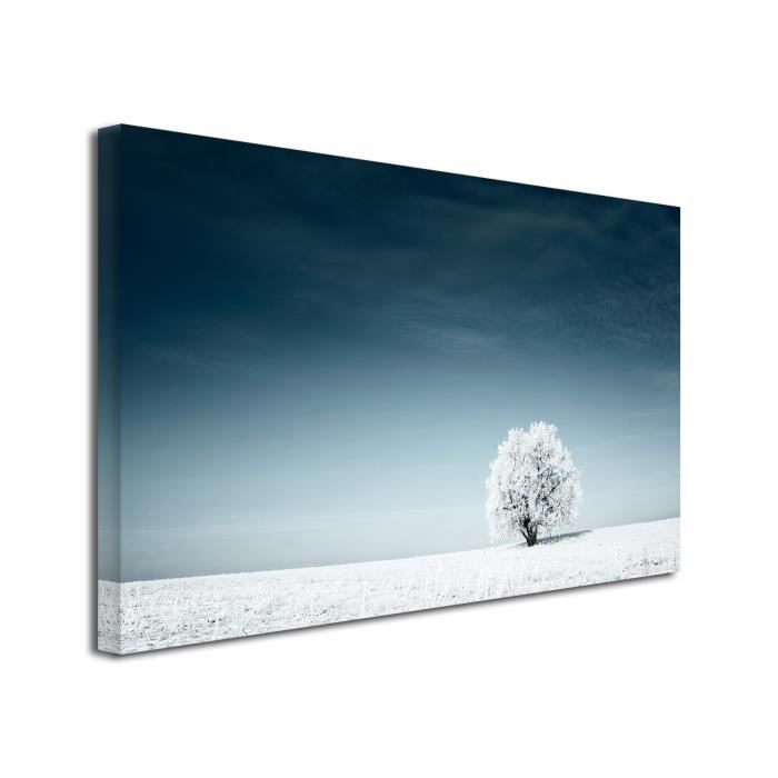 Decoration Chambre Tableau Tableau Deco Tableau Design Tableau Mural Tableau Toile Photo Paysage Solitaire 80x50 Cm Achat Vente Tableau Toile Cdiscount
