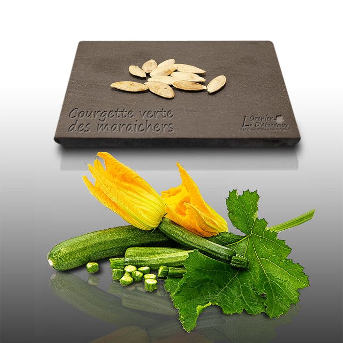 10 Graines De Courgette Verte Non Hybride - Variété Coureuse Et Productive, Facile à Cultiver - Pour Potager