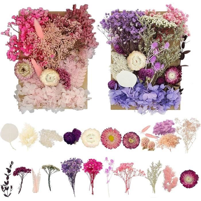 68 Pièces Fleurs Pressées Séchées Naturelles - Pour Résine Époxy, Scrapbooking, Bougies DIY, Avec Pince